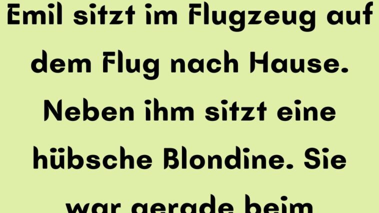 Emil sitzt im Flugzeug auf dem Flug nach Hause