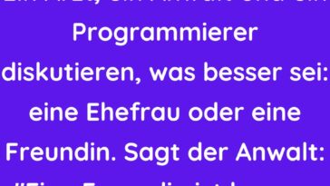 Ein Anwalt und ein Programmierer diskutieren