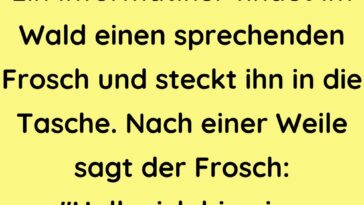 Ein Informatiker findet im Wald einen sprechenden
