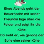 Eines Abends geht der Bauernsohn