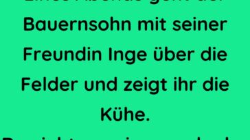 Eines Abends geht der Bauernsohn